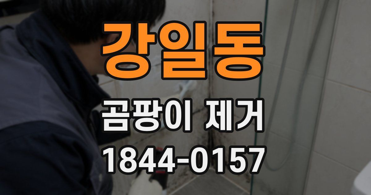 강일동 곰팡이 제거