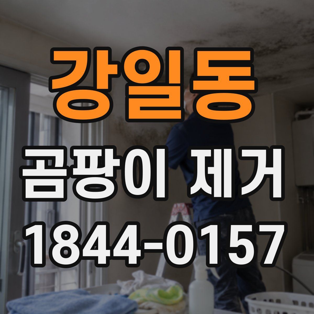 강일동 곰팡이 제거