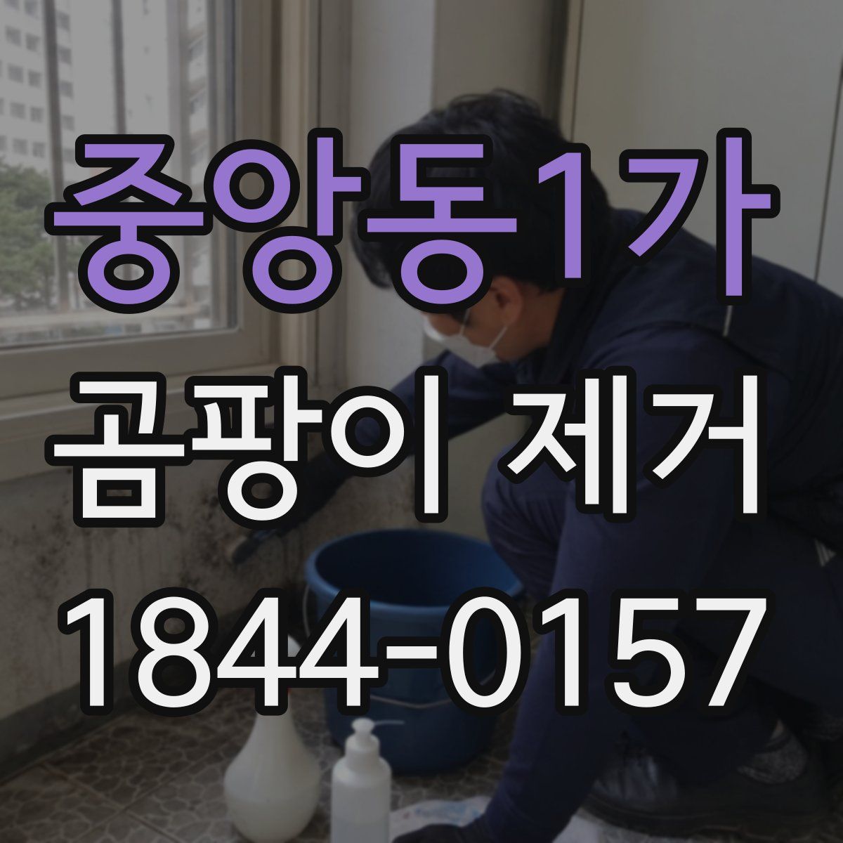 중앙동1가 곰팡이 제거