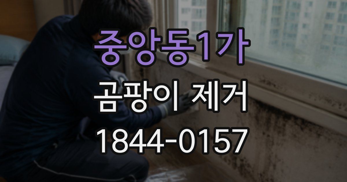 중앙동1가 곰팡이 제거
