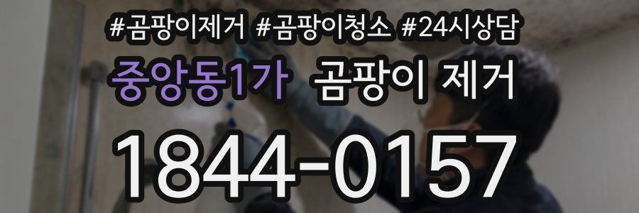 중앙동1가 곰팡이 제거