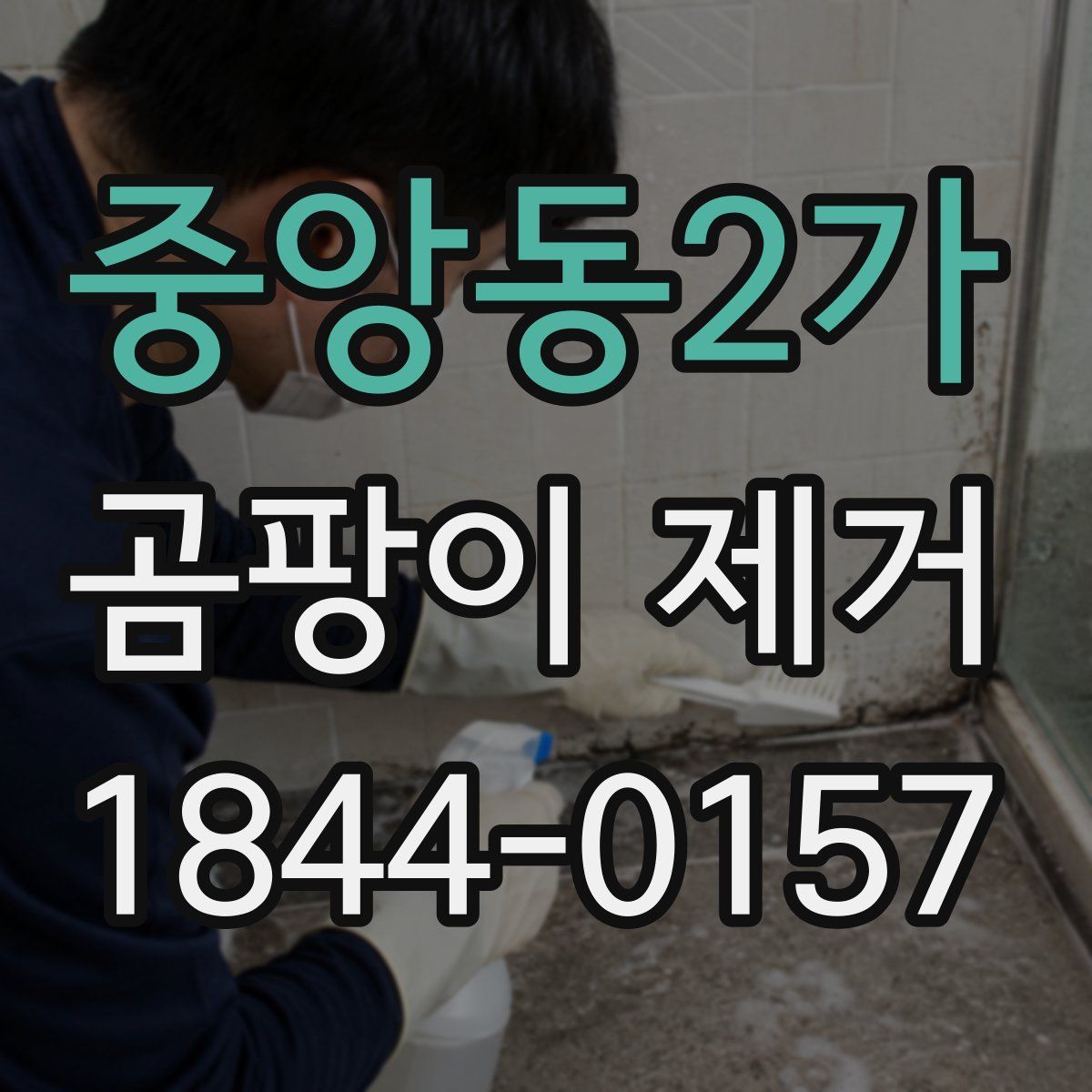 중앙동2가 곰팡이 제거