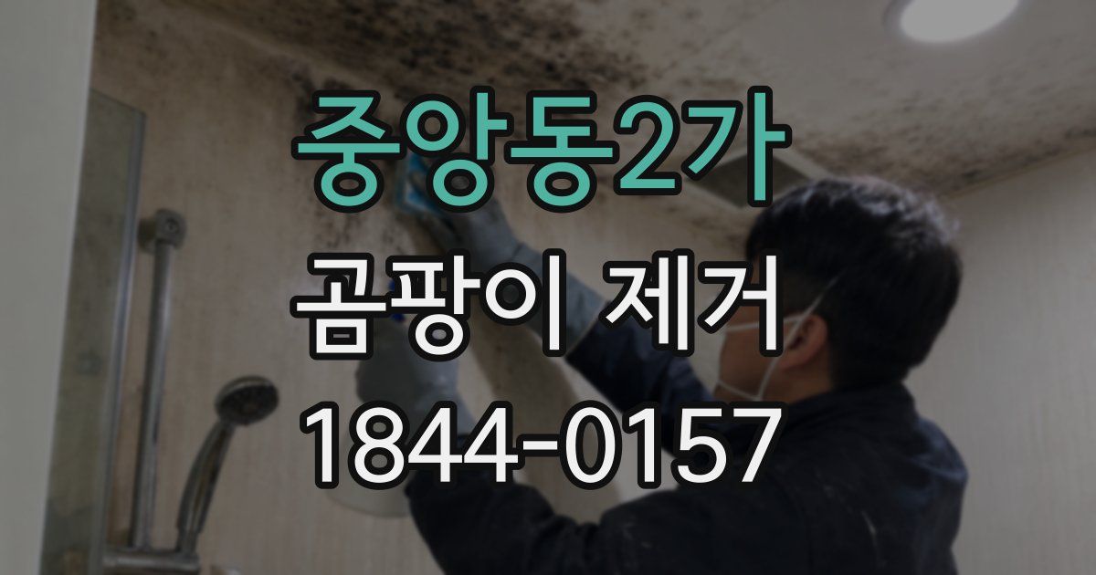중앙동2가 곰팡이 제거