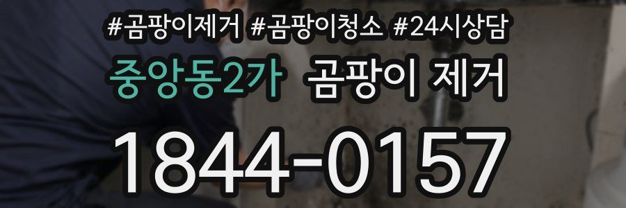 중앙동2가 곰팡이 제거