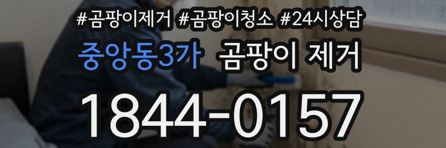 중앙동3가 곰팡이 제거