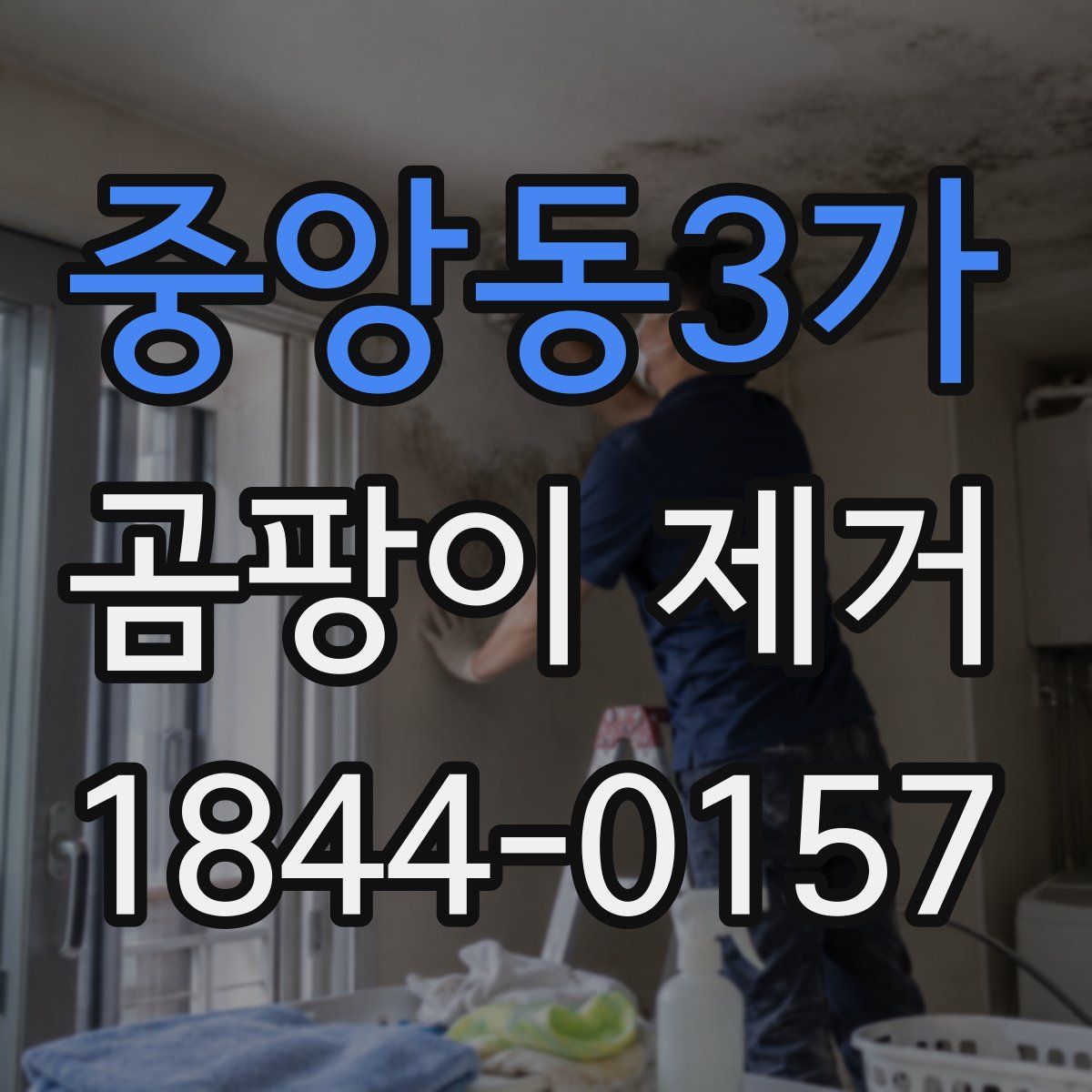 중앙동3가 곰팡이 제거