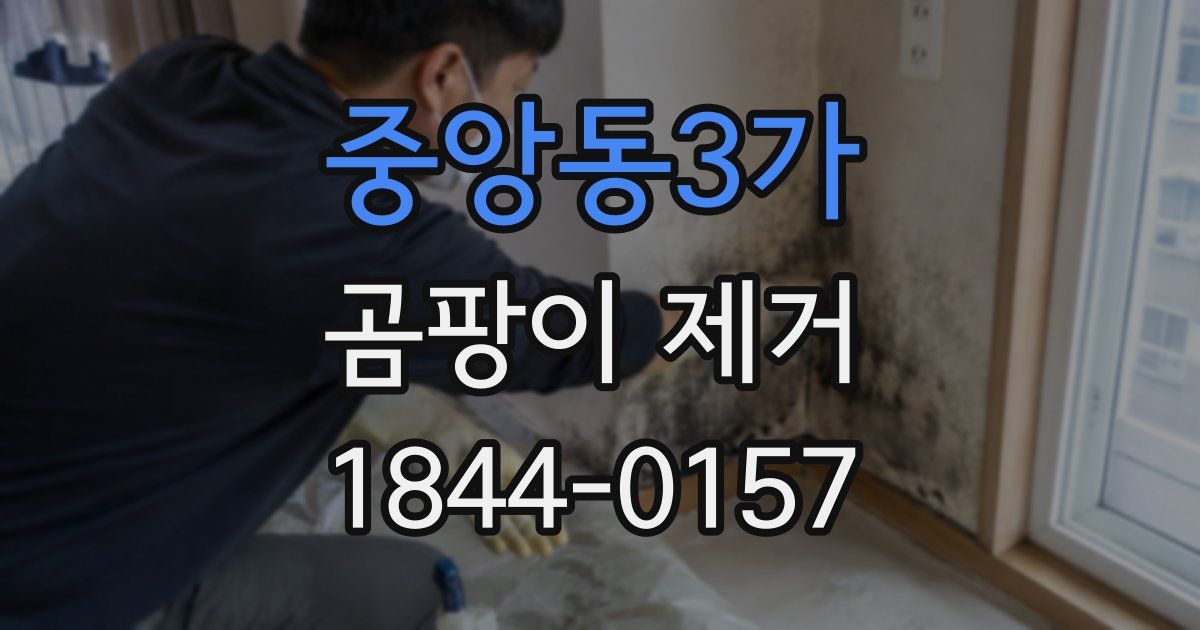 중앙동3가 곰팡이 제거