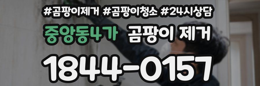 중앙동4가 곰팡이 제거