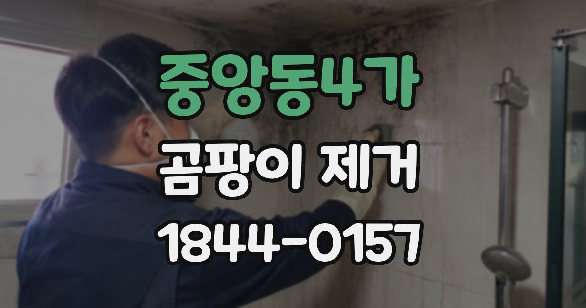 중앙동4가 곰팡이 제거