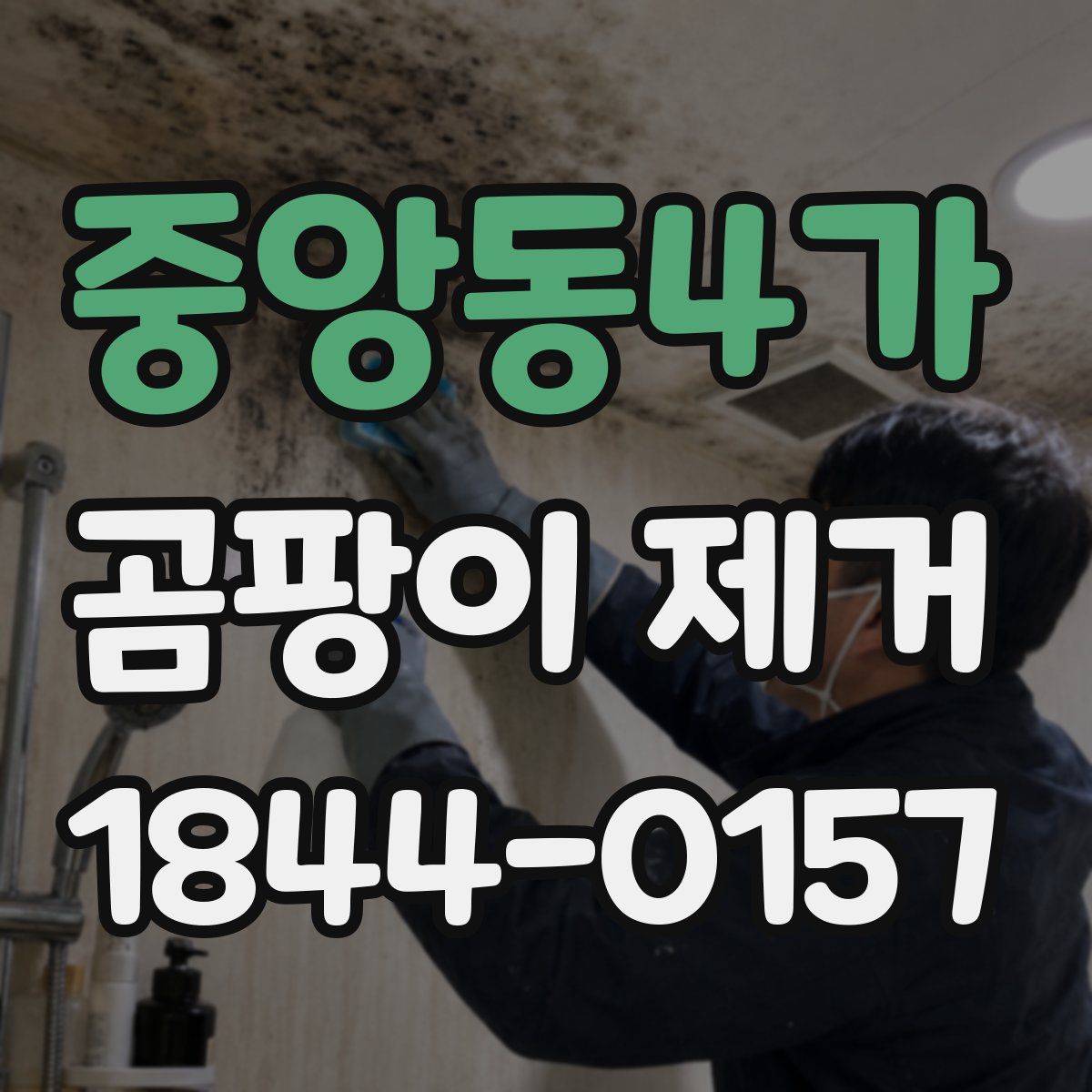 중앙동4가 곰팡이 제거