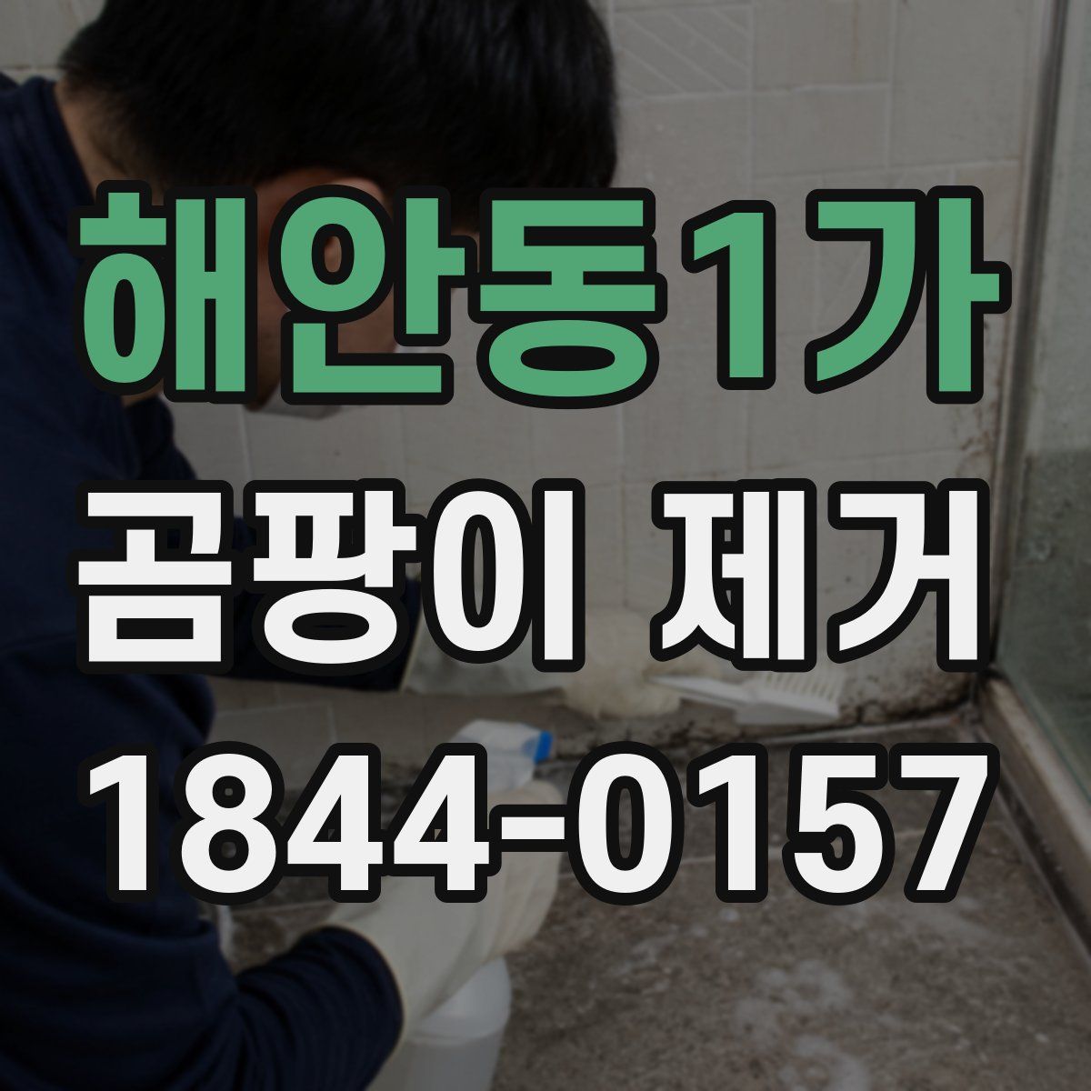 해안동1가 곰팡이 제거