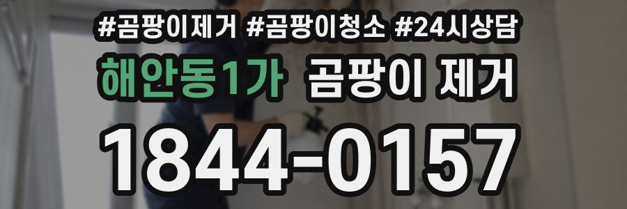 해안동1가 곰팡이 제거
