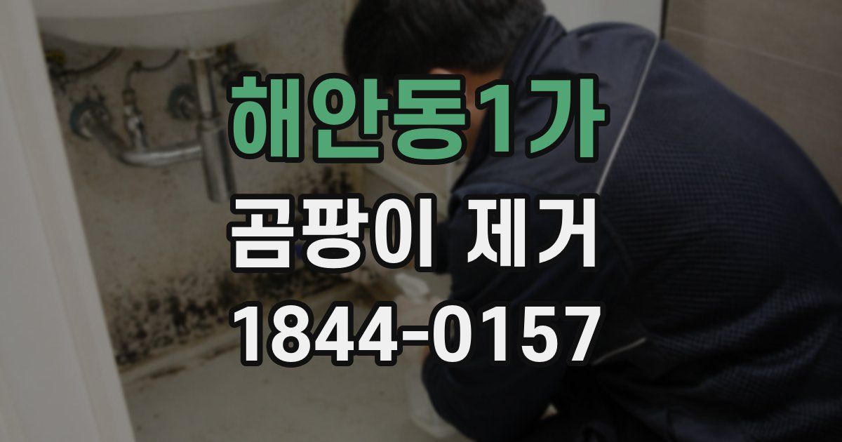 해안동1가 곰팡이 제거