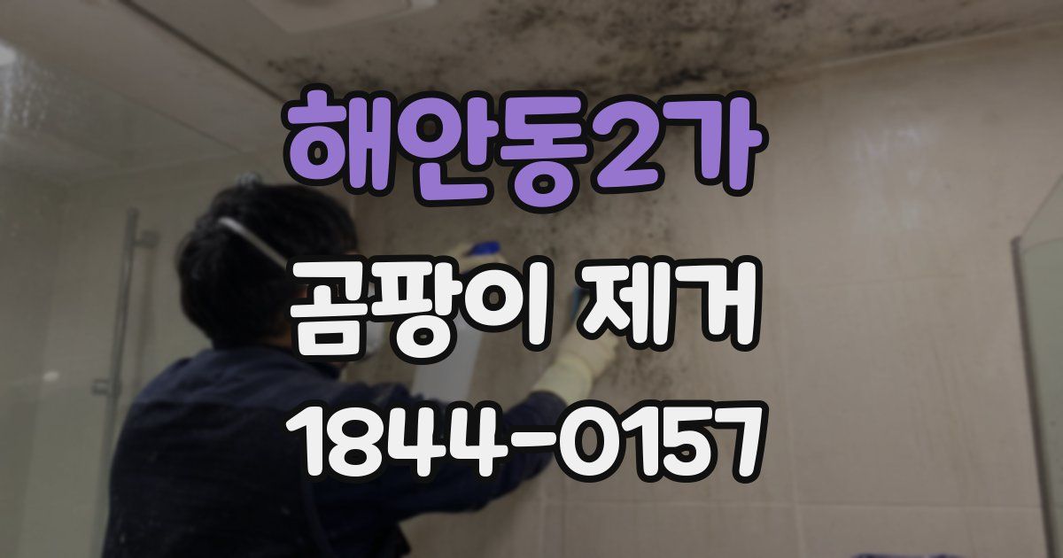 해안동2가 곰팡이 제거