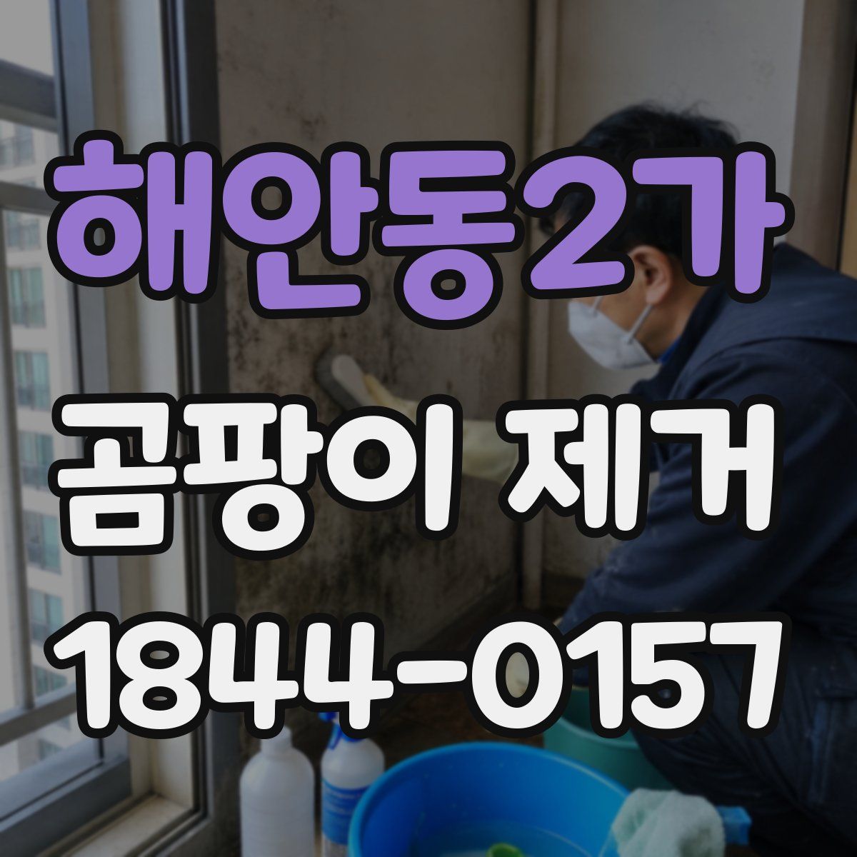 해안동2가 곰팡이 제거