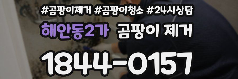 해안동2가 곰팡이 제거