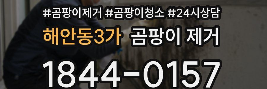 해안동3가 곰팡이 제거