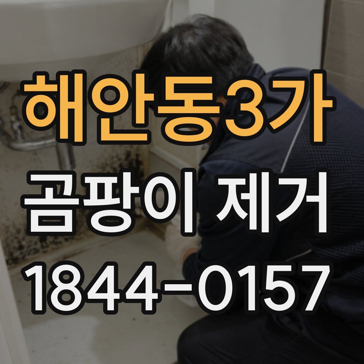 해안동3가 곰팡이 제거