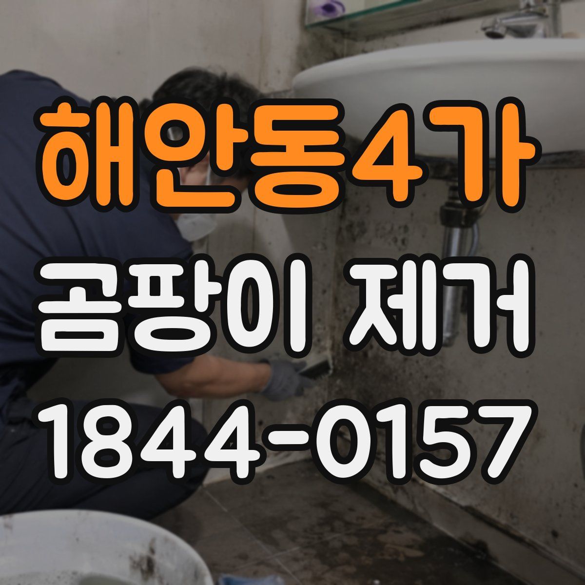 해안동4가 곰팡이 제거