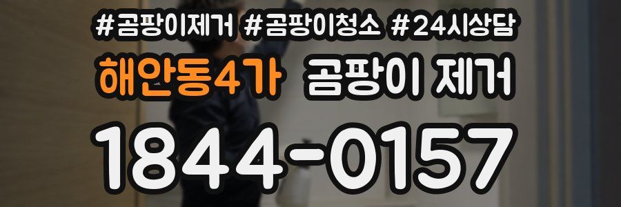 해안동4가 곰팡이 제거
