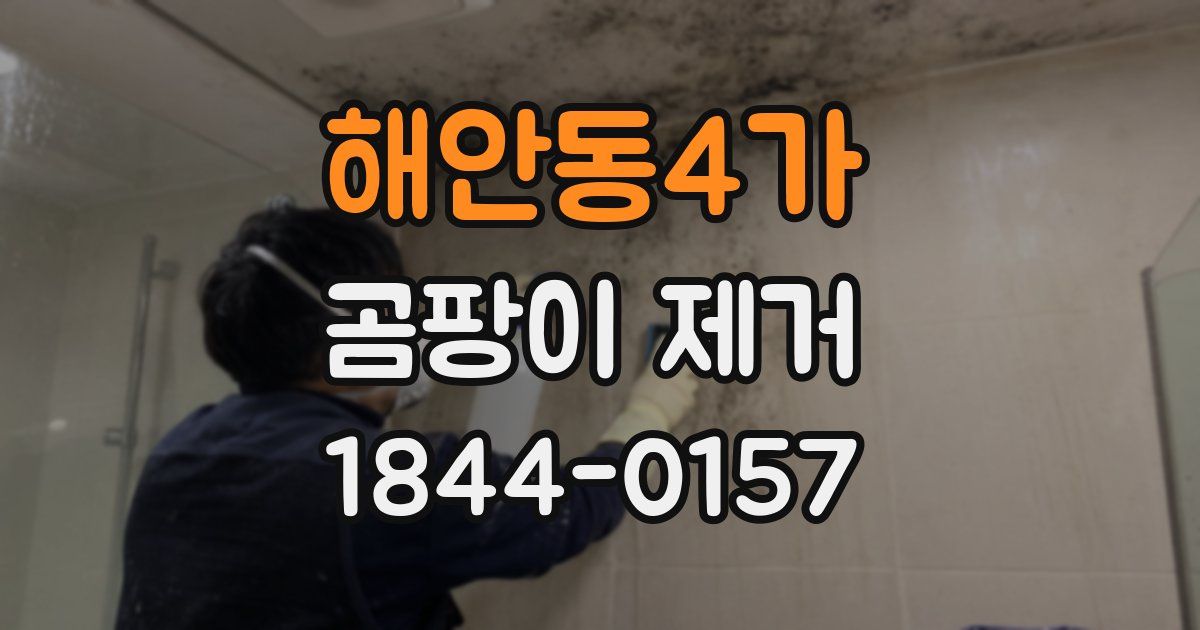 해안동4가 곰팡이 제거