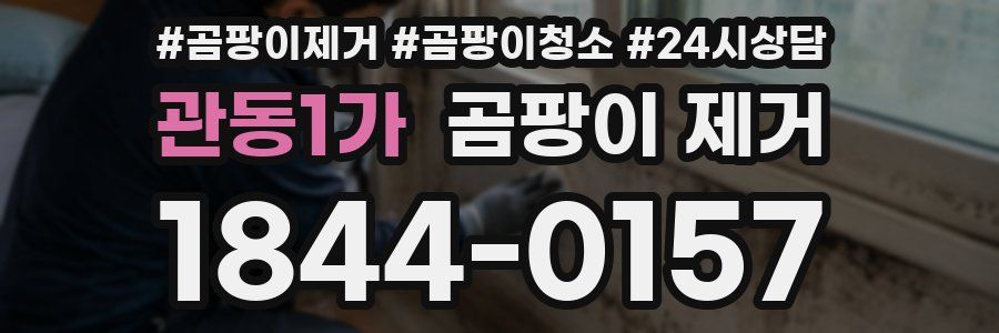 관동1가 곰팡이 제거