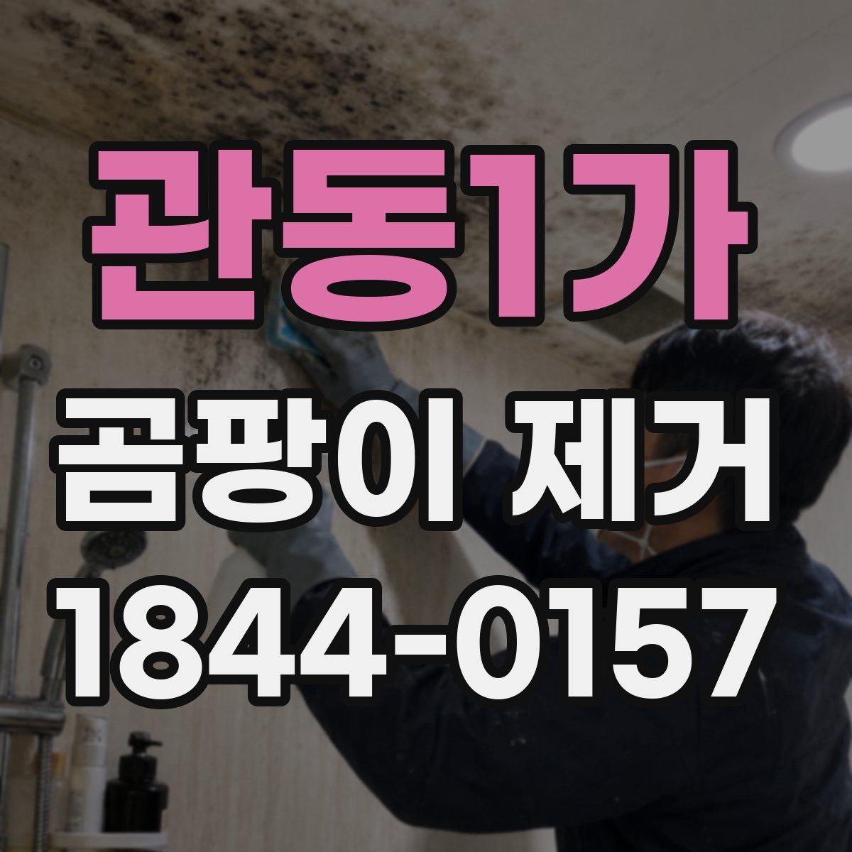 관동1가 곰팡이 제거