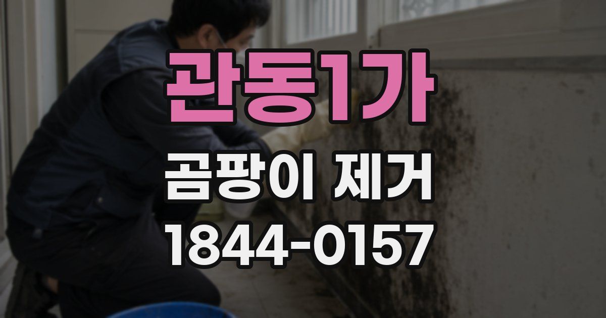 관동1가 곰팡이 제거