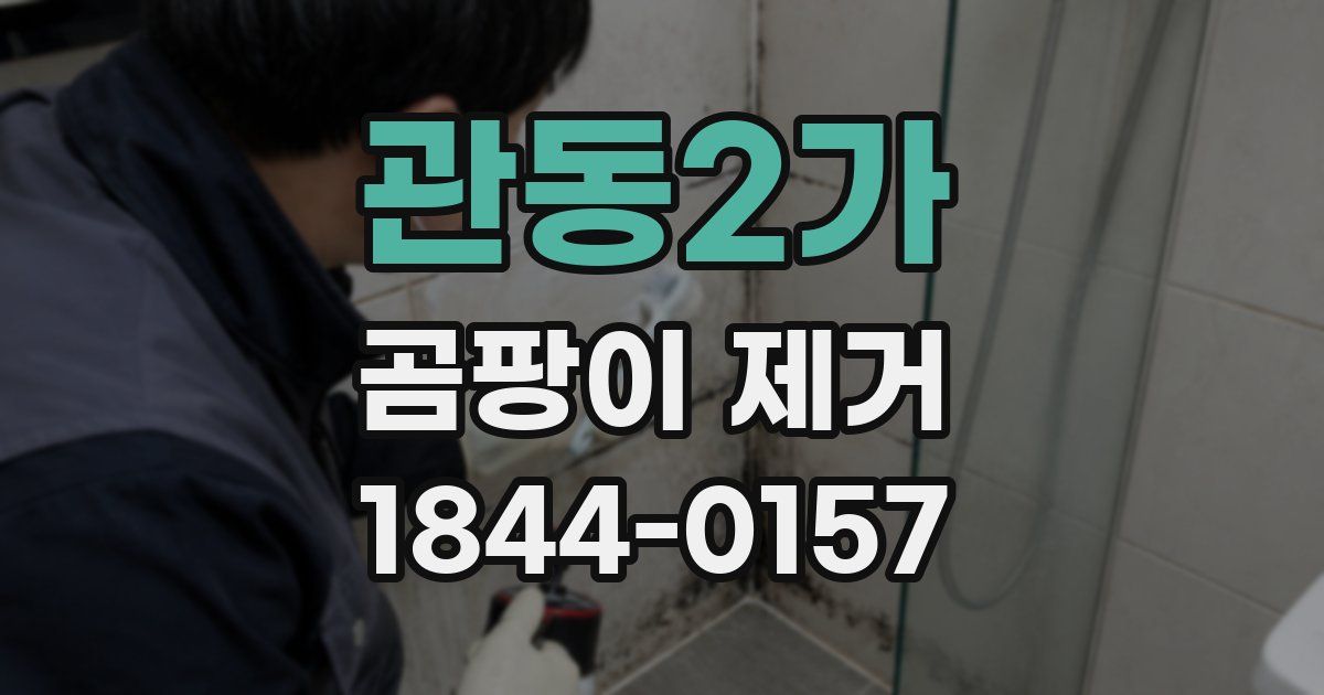 관동2가 곰팡이 제거