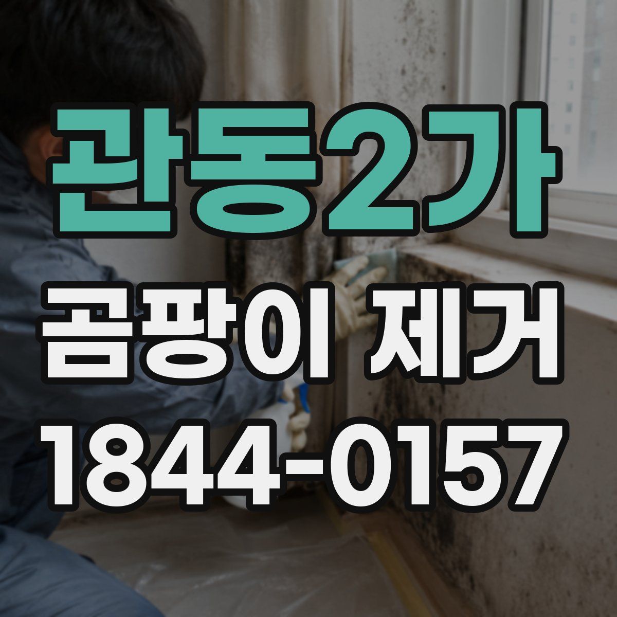 관동2가 곰팡이 제거