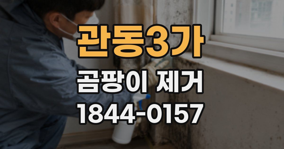 관동3가 곰팡이 제거