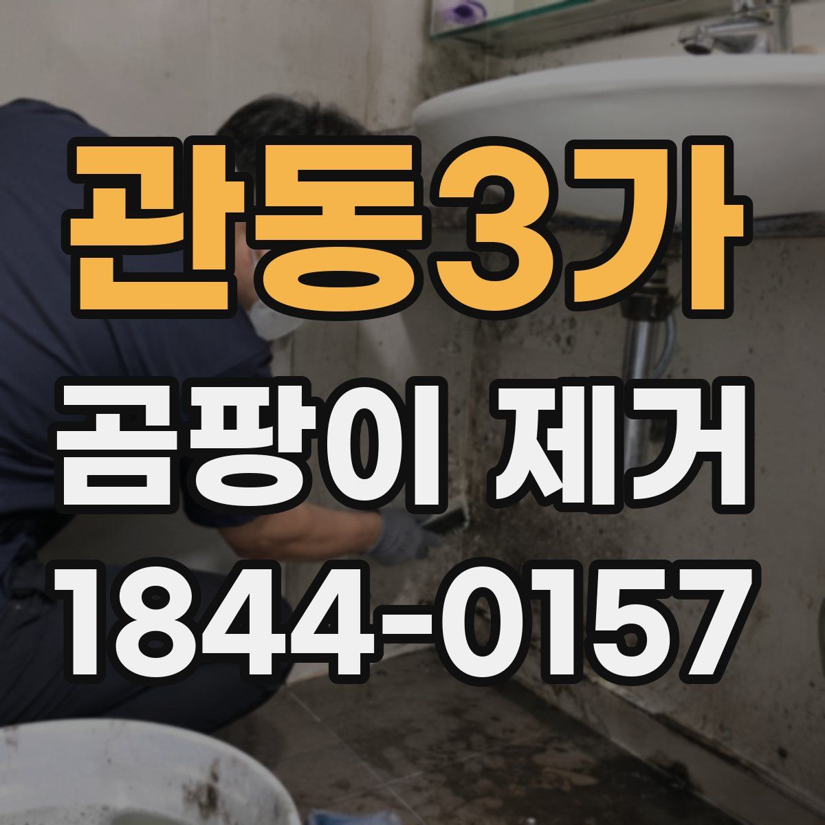 관동3가 곰팡이 제거