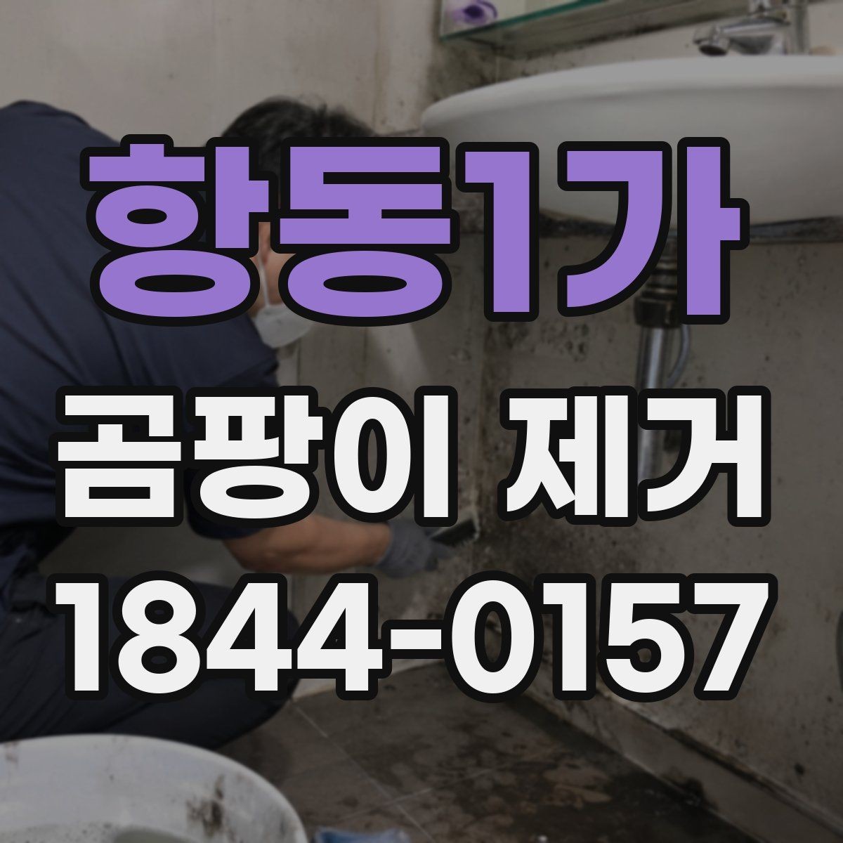 항동1가 곰팡이 제거 번짐을 줄이기 위한 구역별 정리 방법