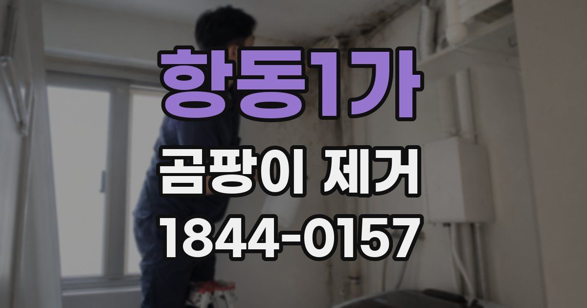 항동1가 곰팡이 제거