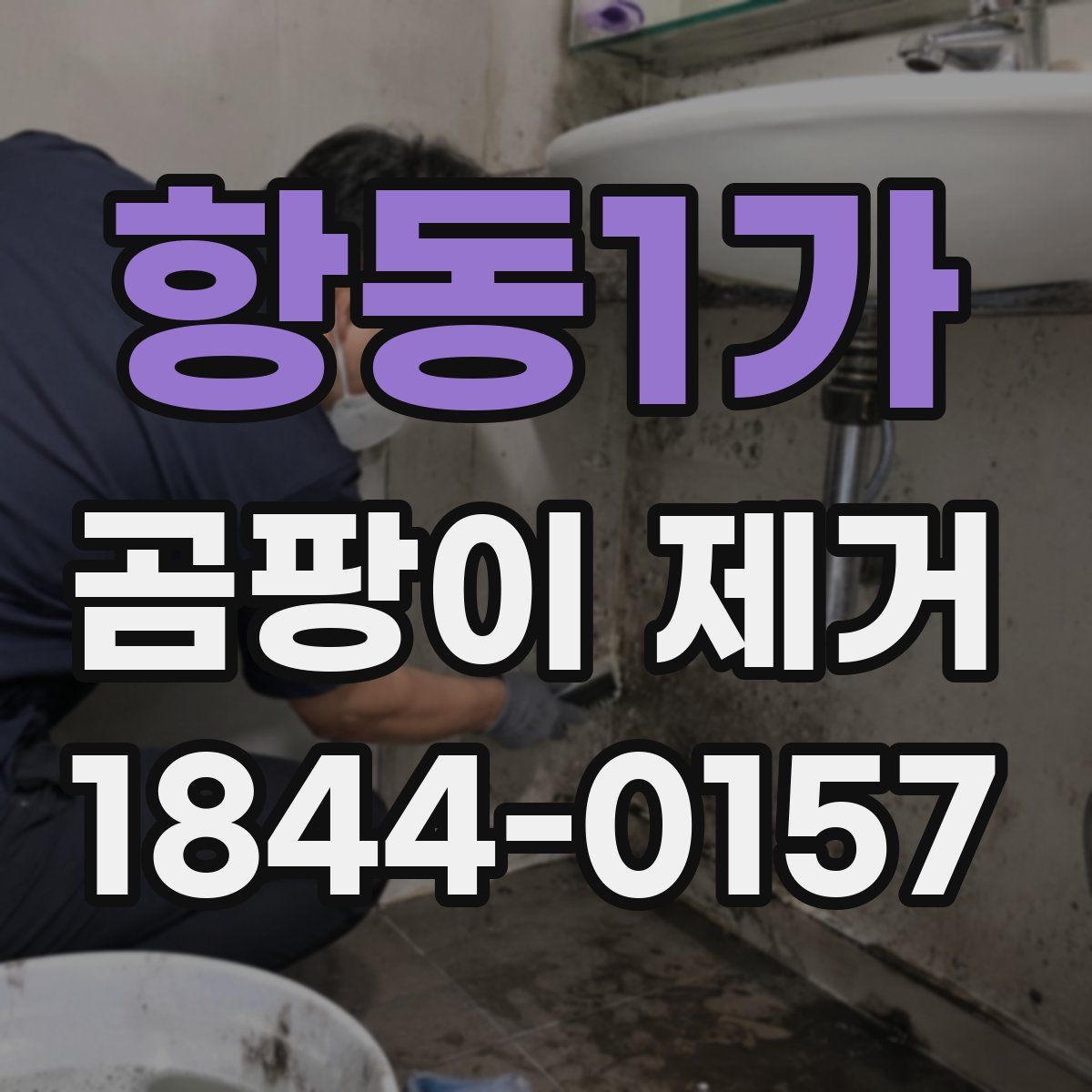 항동1가 곰팡이 제거