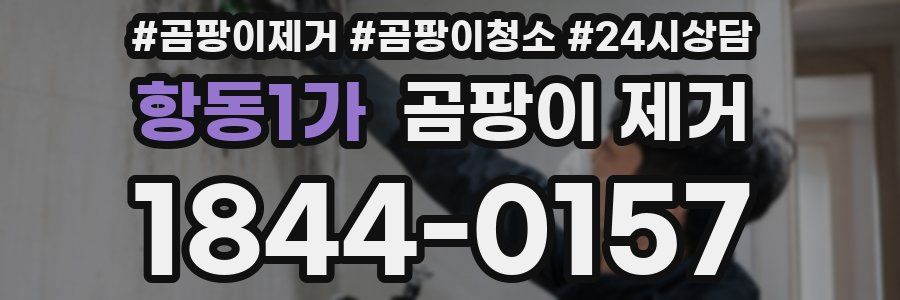 항동1가 곰팡이 제거