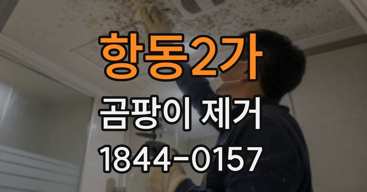 항동2가 곰팡이 제거