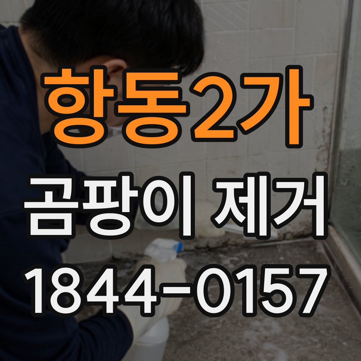 항동2가 곰팡이 제거