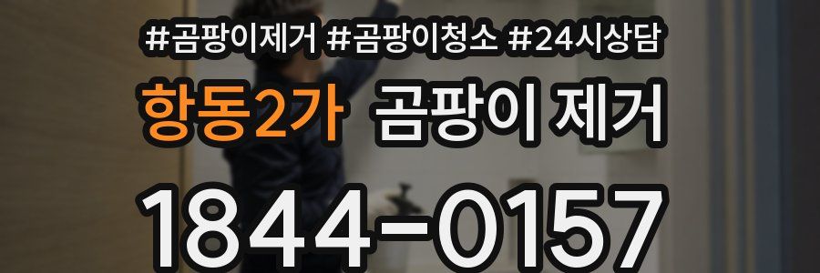 항동2가 곰팡이 제거