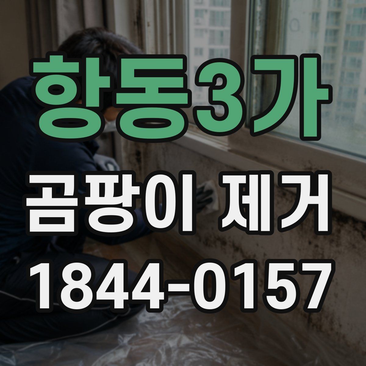 항동3가 곰팡이 제거 오래 방치한 자국을 다룰 때 주의점