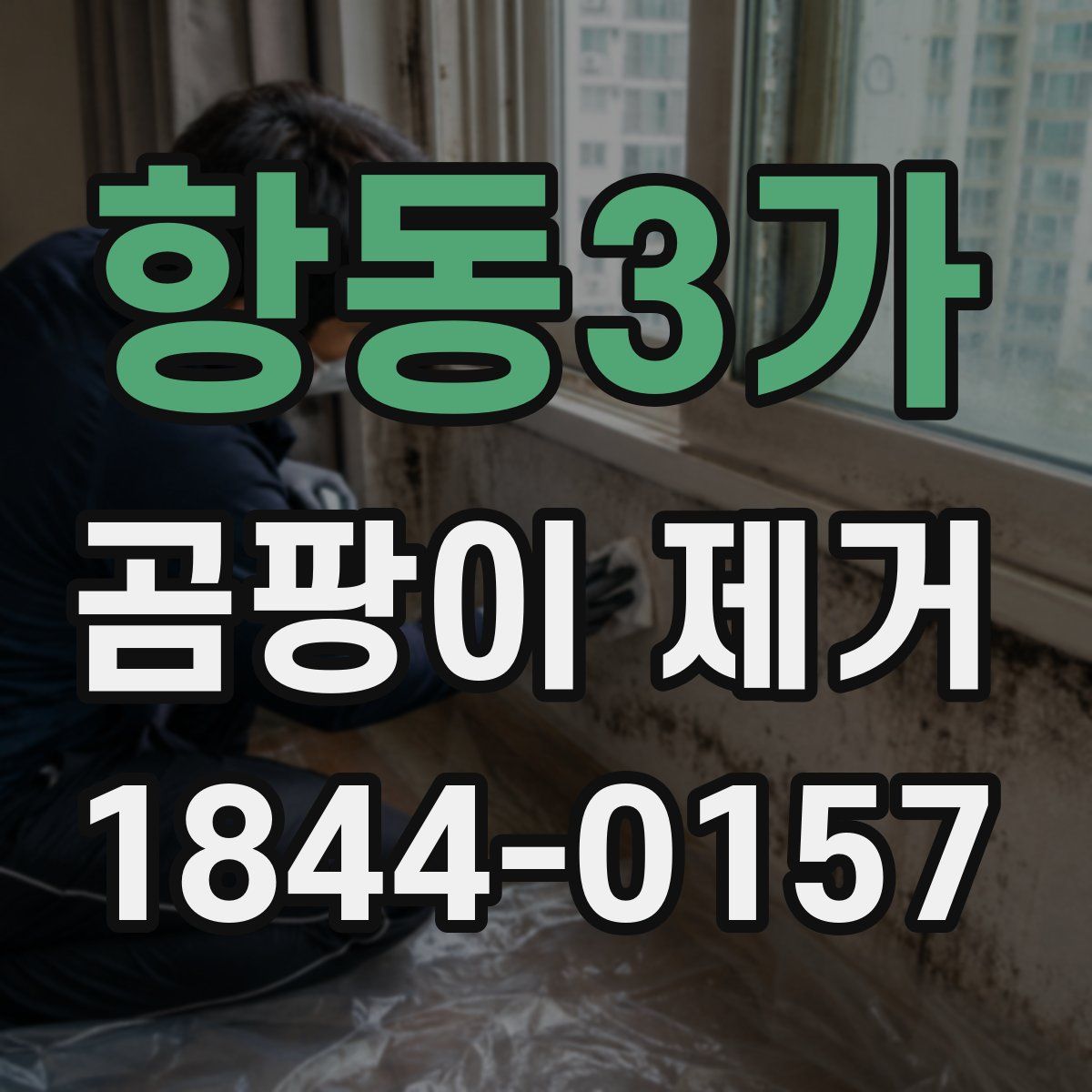 항동3가 곰팡이 제거