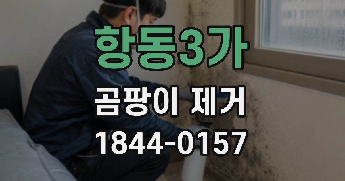 항동3가 곰팡이 제거