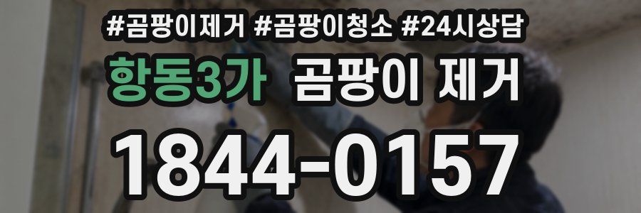 항동3가 곰팡이 제거