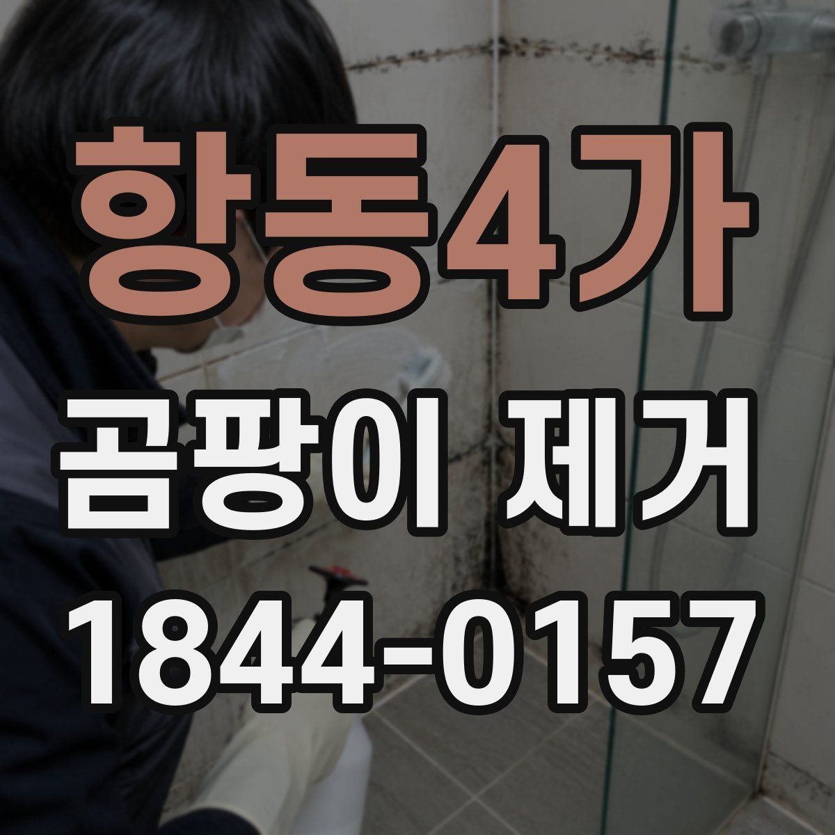 항동4가 곰팡이 제거 원룸과 오피스텔에서 먼저 볼 부분