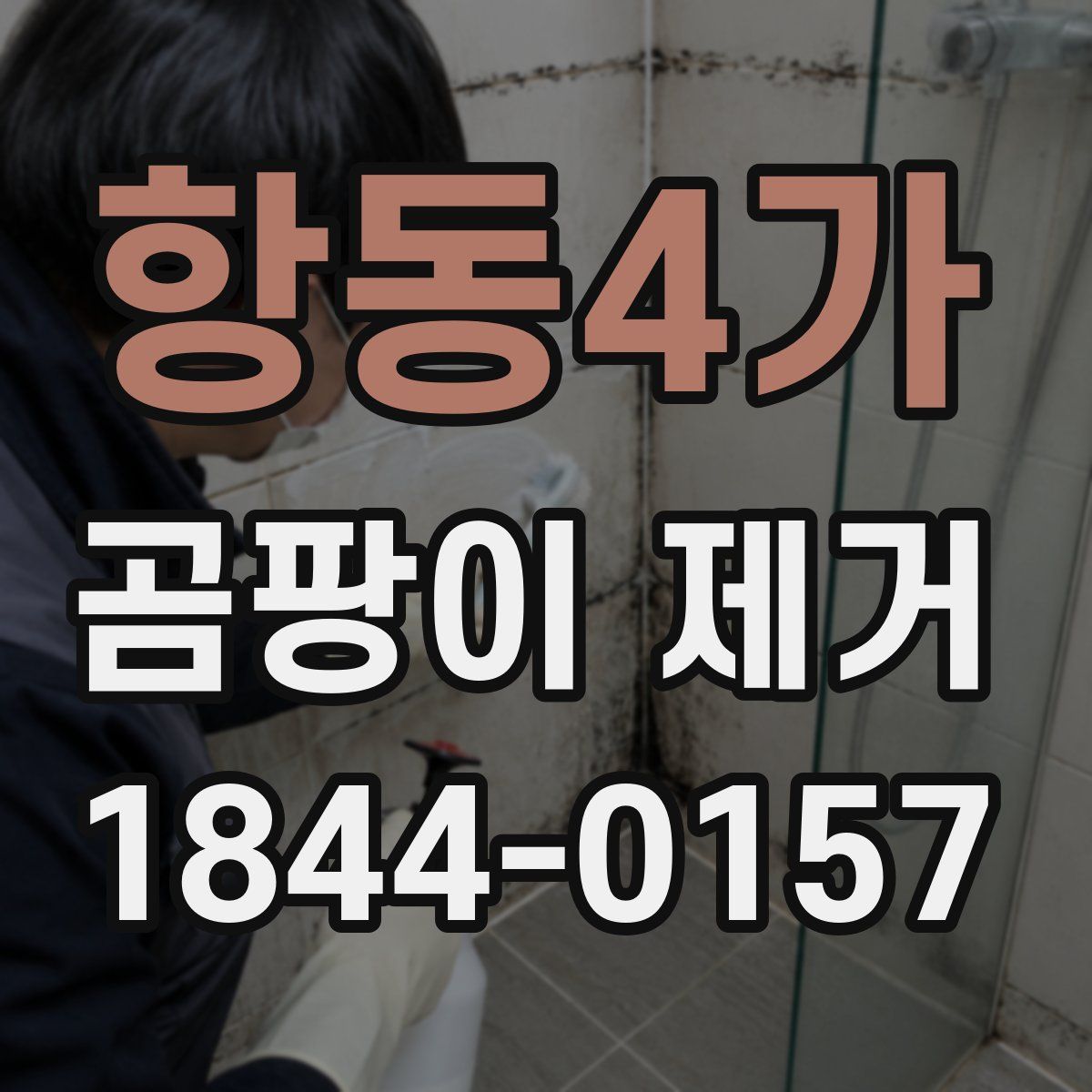 항동4가 곰팡이 제거