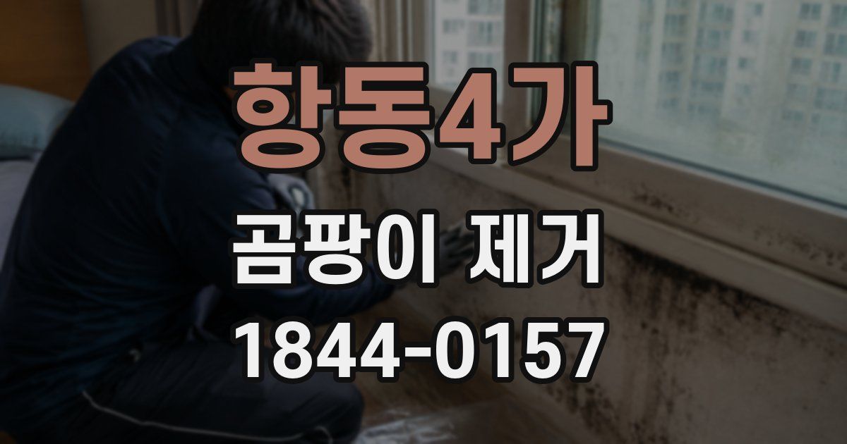 항동4가 곰팡이 제거