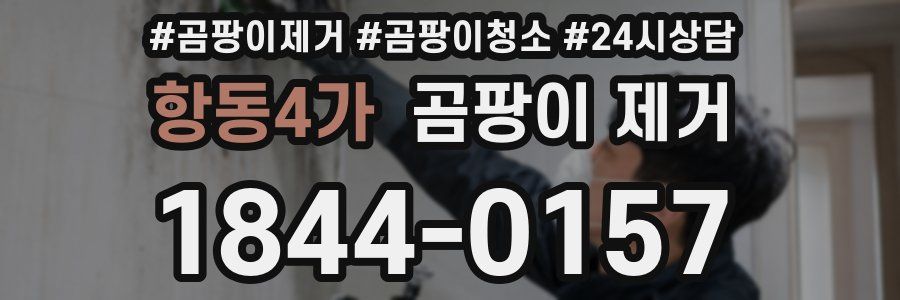 항동4가 곰팡이 제거