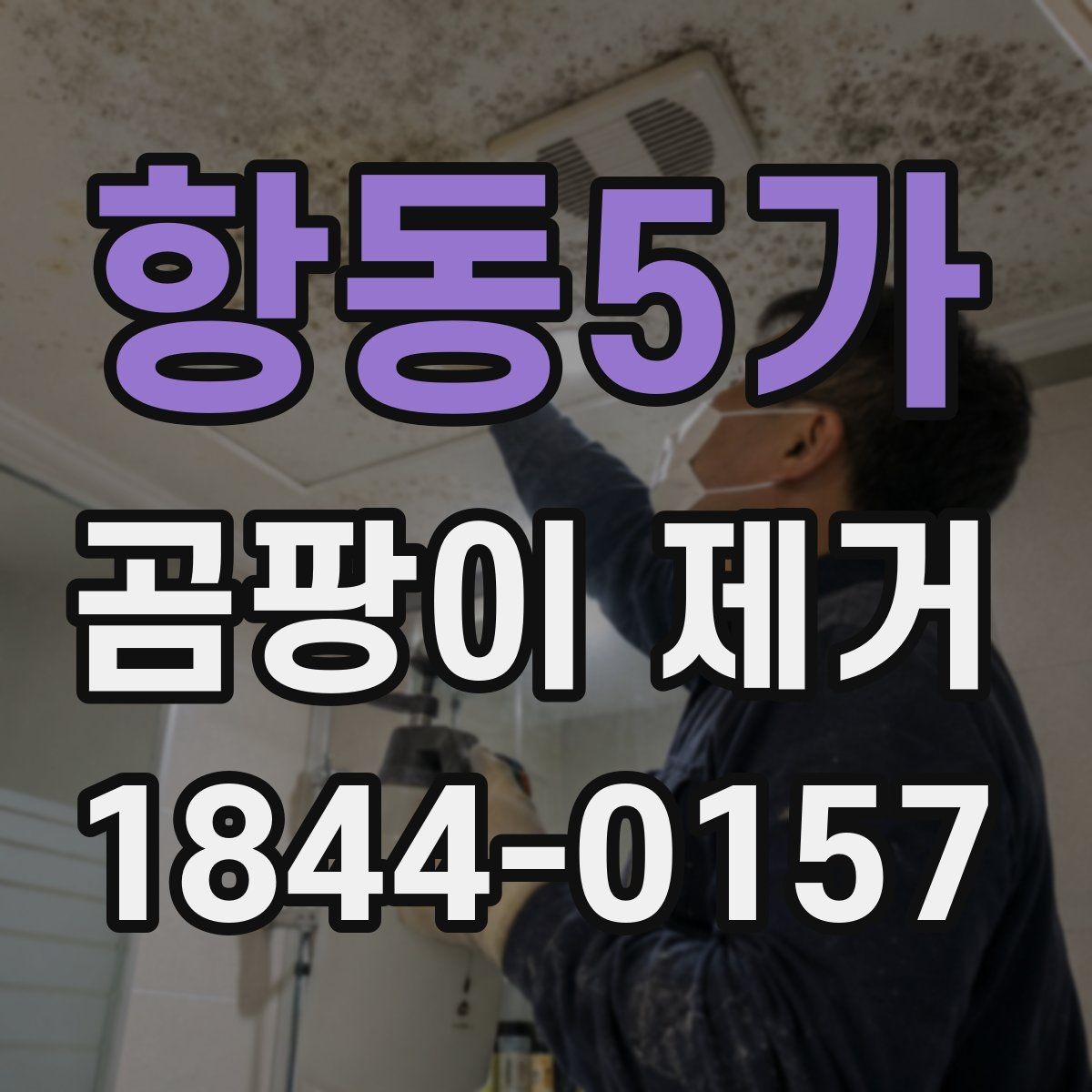 항동5가 곰팡이 제거 베란다 습기 줄이는 환기 체크