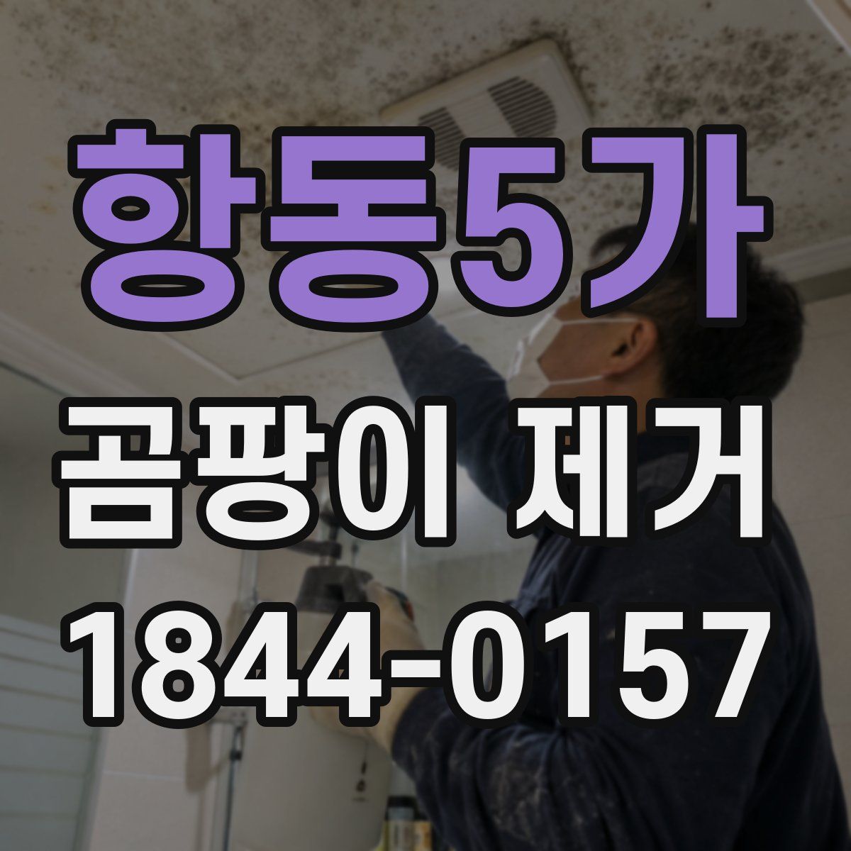 항동5가 곰팡이 제거