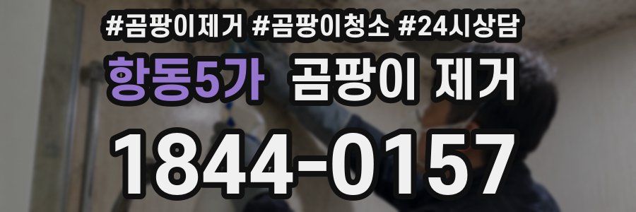 항동5가 곰팡이 제거